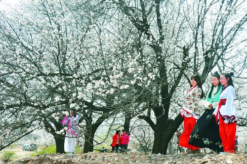 篮球比分完整版 实时数据看板